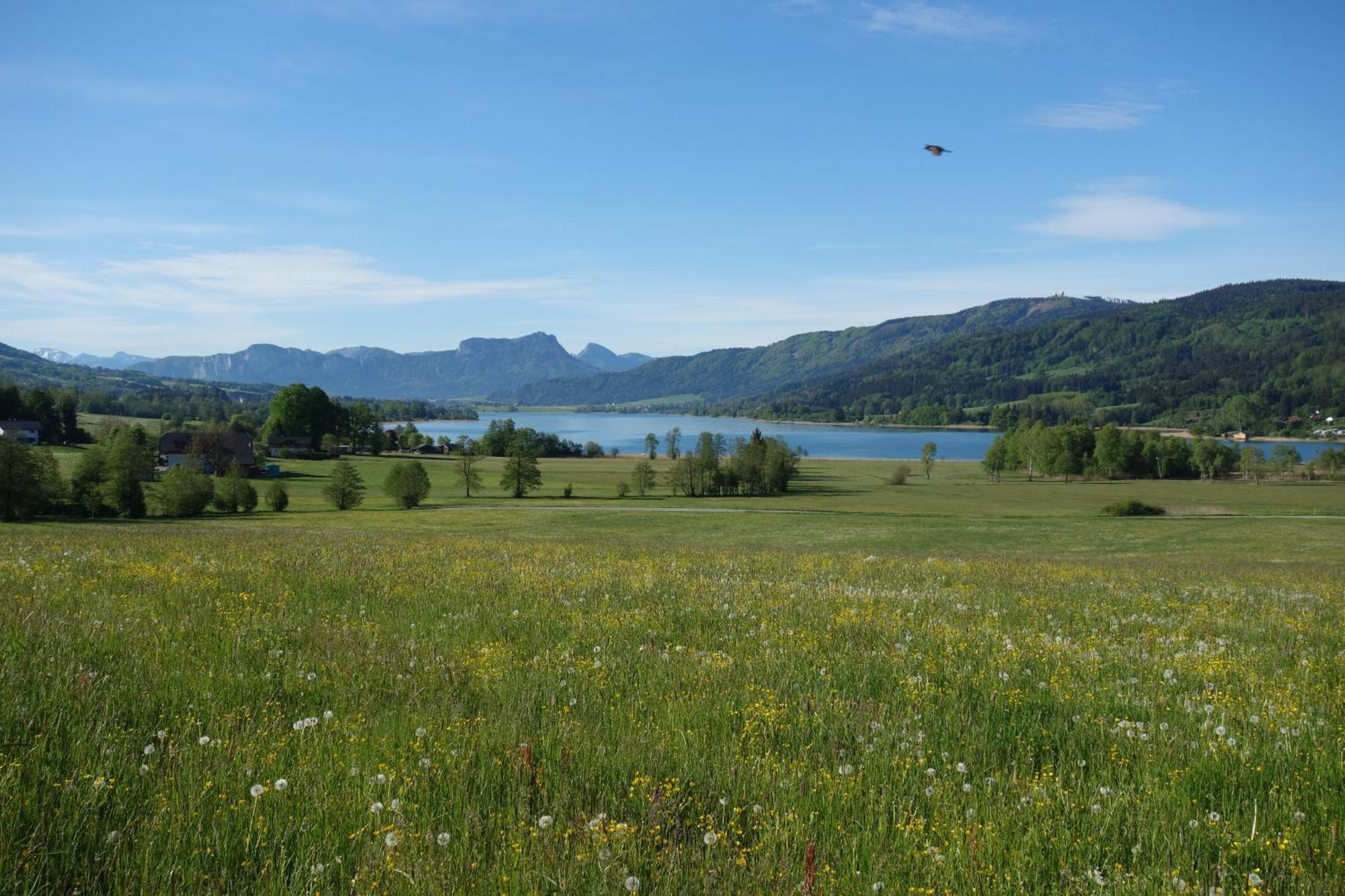 הוילה Oberhofen am Irrsee Sunnhof מראה חיצוני תמונה